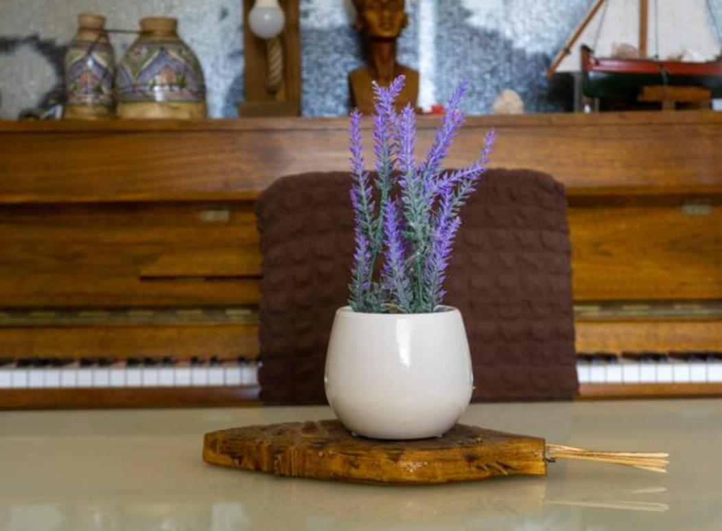 Guesthouse Lion Сплит Екстериор снимка